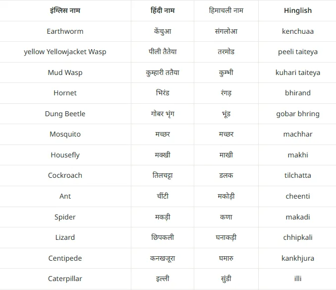 कीड़ों के नाम हिंदी, अंग्रेजी और हिमाचली में: Insects Name in Hindi, English & Himachali (Insects List)